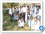 Students are doing Plantation on Environment Day 2013